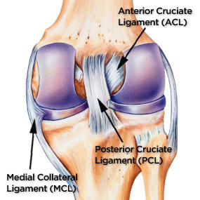 285x285_Severe_Knee_Pain_Slide_2